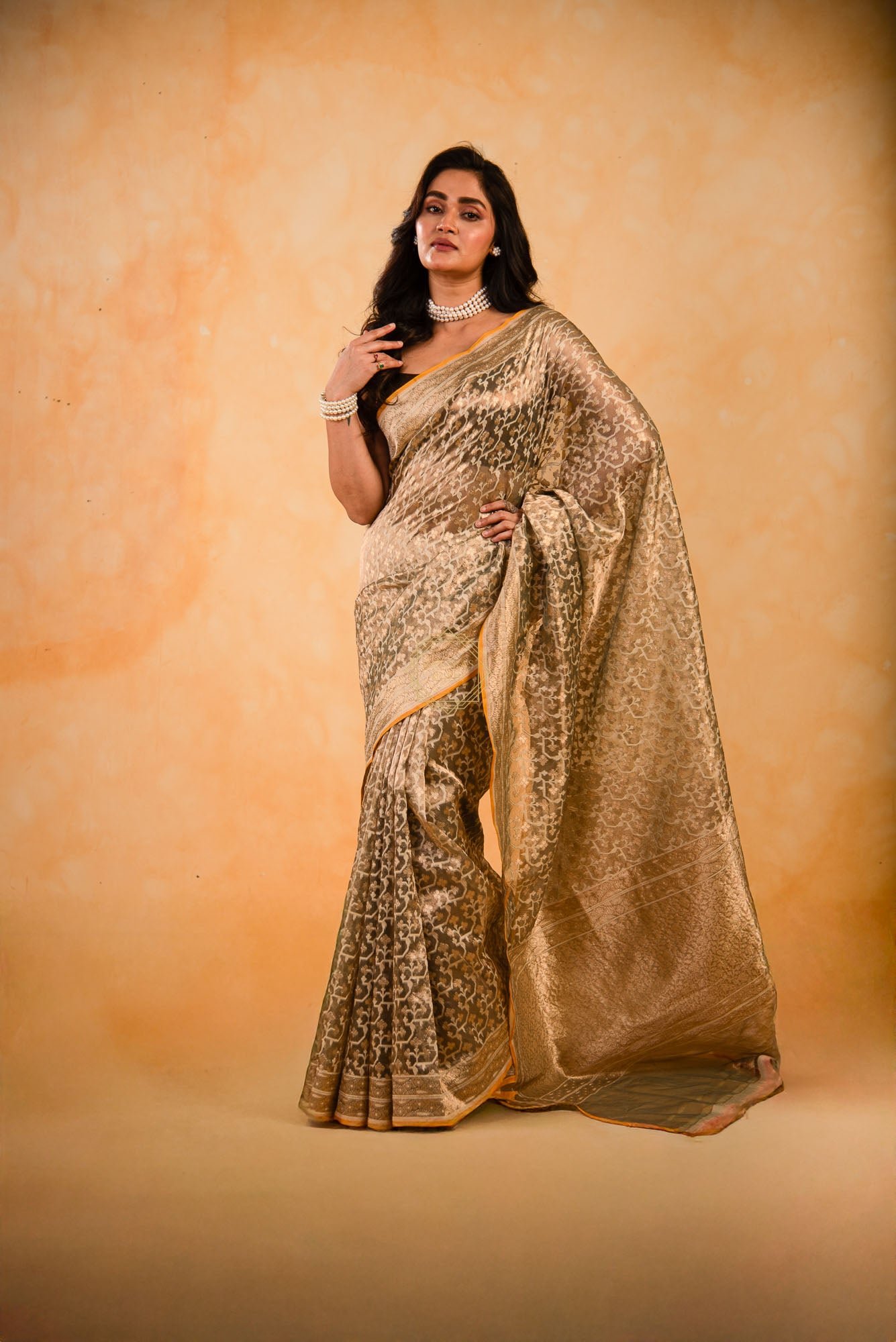 Tissue Weaved over Organza with Contemporary Resham Jaal