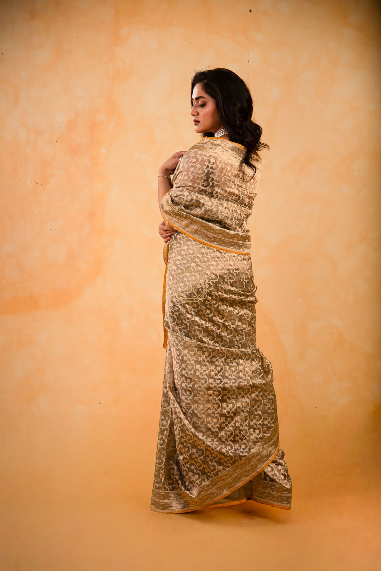Tissue Weaved over Organza with Contemporary Resham Jaal