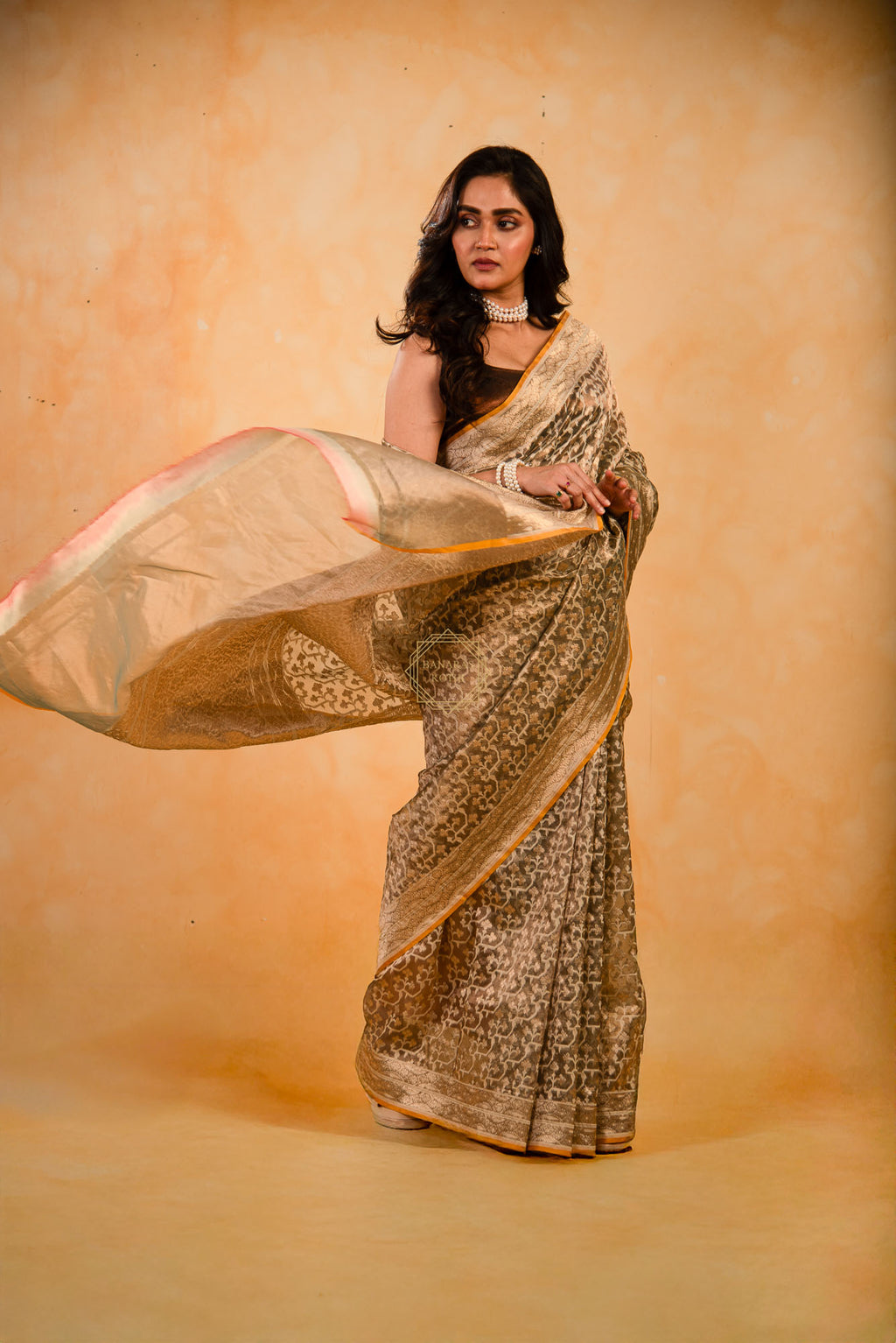 Tissue Weaved over Organza with Contemporary Resham Jaal