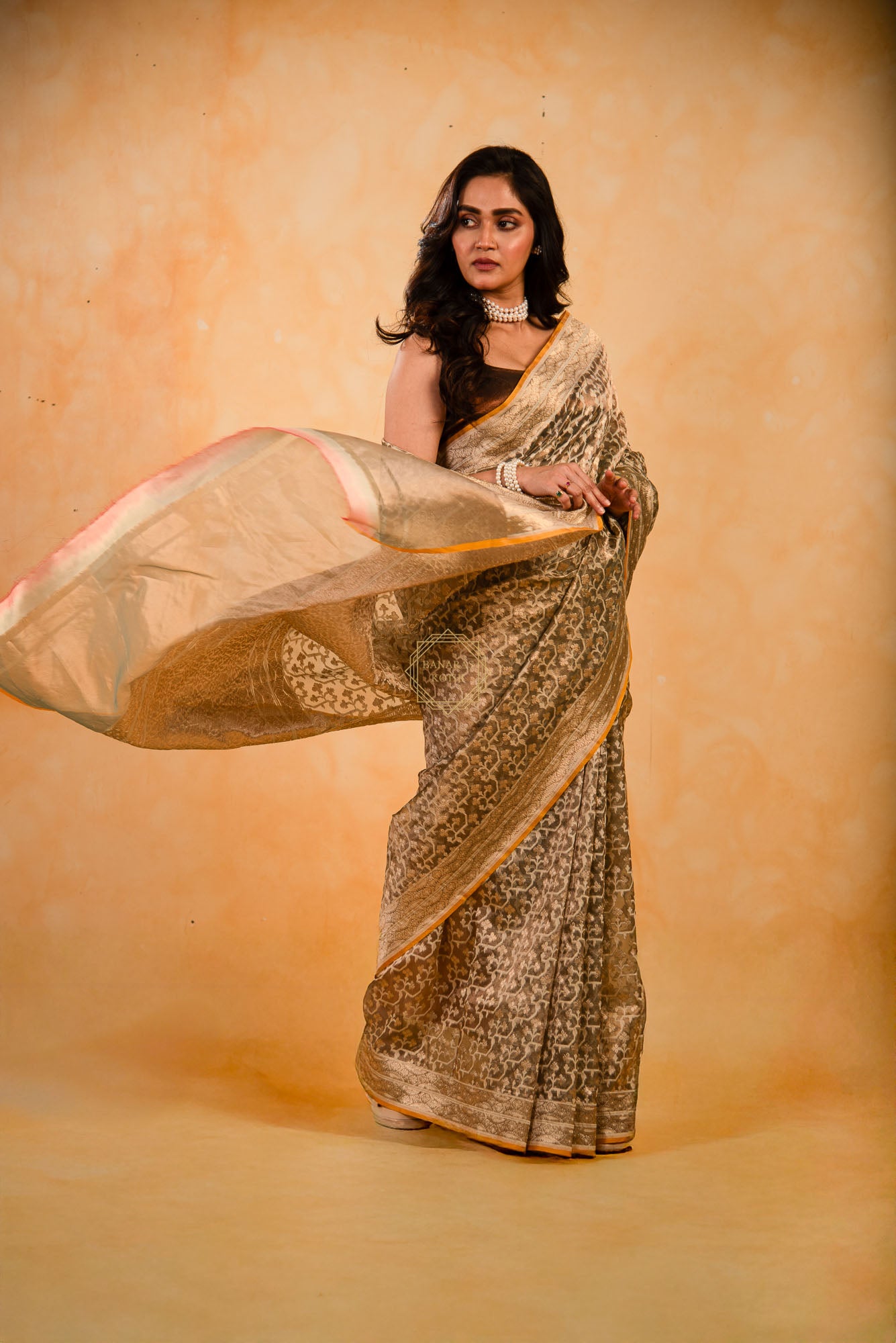 Tissue Weaved over Organza with Contemporary Resham Jaal
