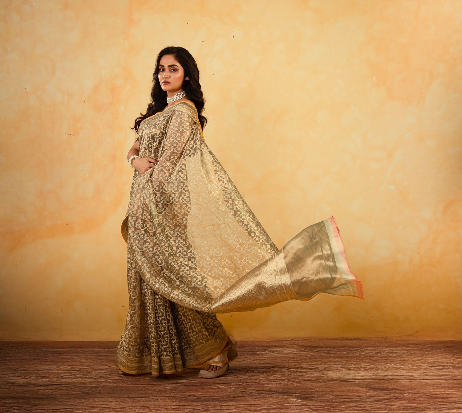 Tissue Weaved over Organza with Contemporary Resham Jaal