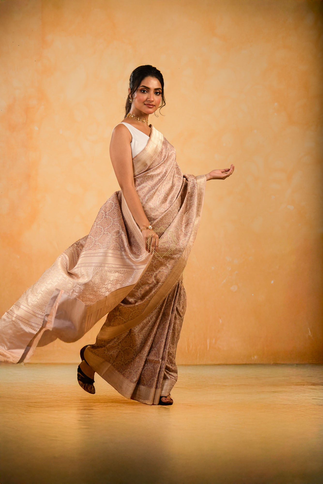 Suttle Color Jaal Weaved in Jamawar with Resham and Zari