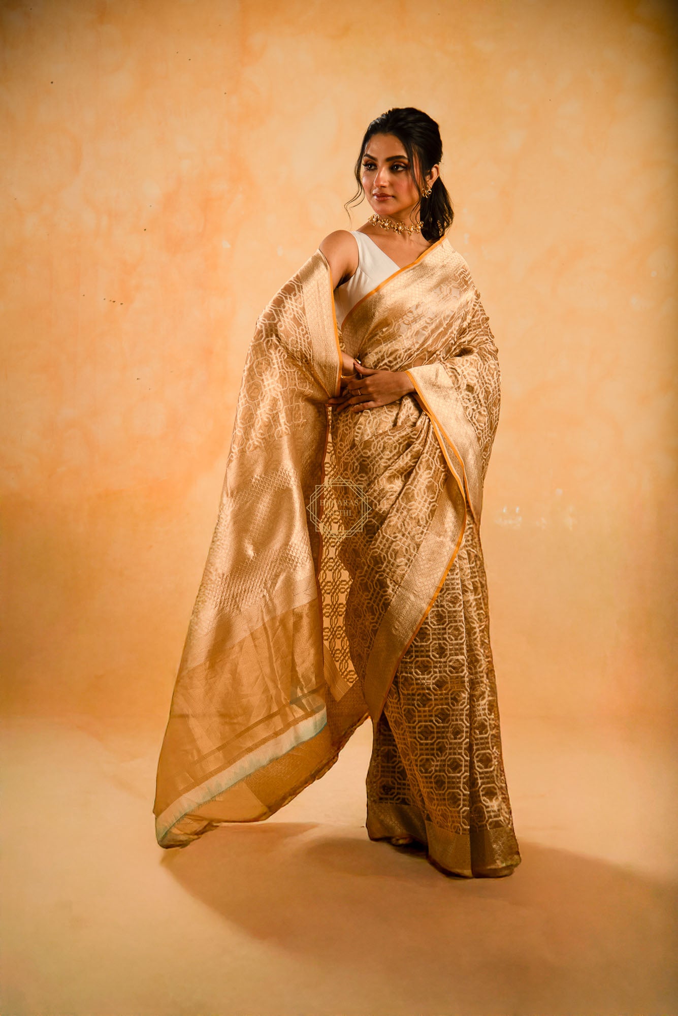 Tissue Weaved over Organza with Contemporary Resham Jaal