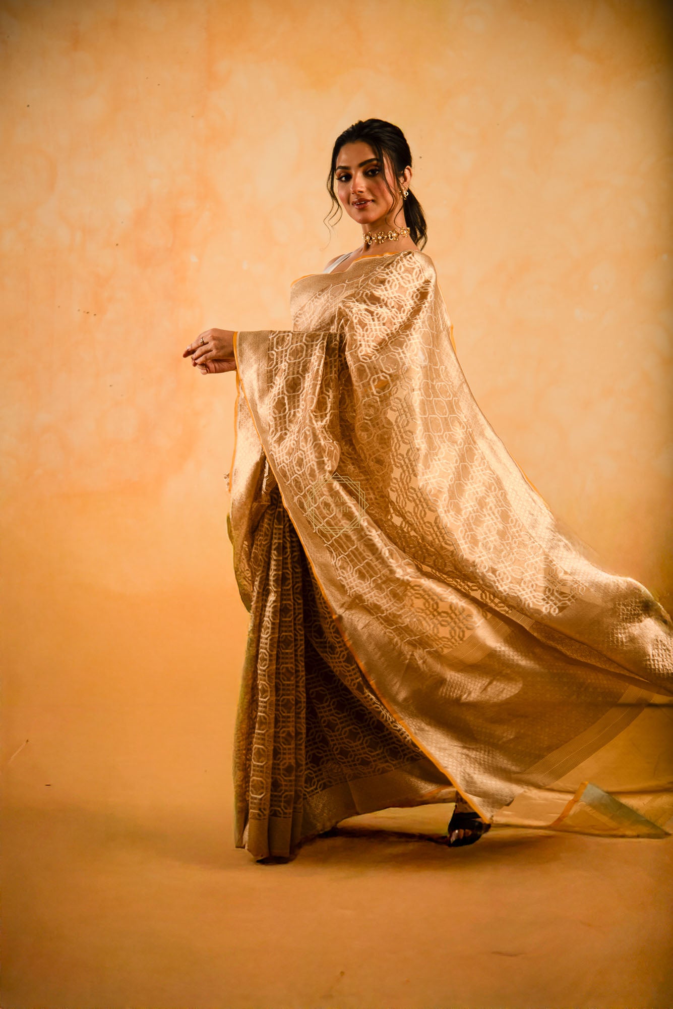 Tissue Weaved over Organza with Contemporary Resham Jaal