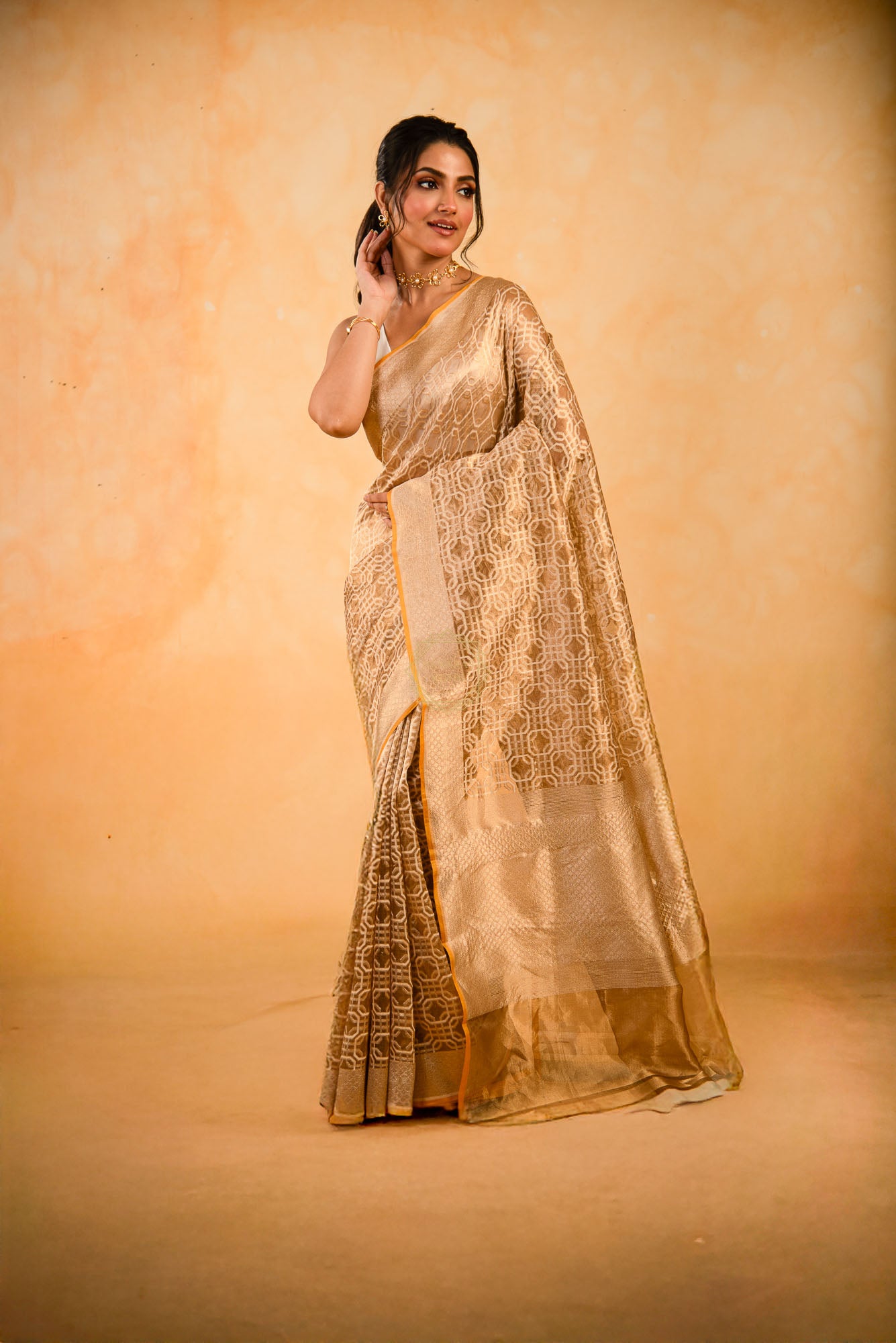 Tissue Weaved over Organza with Contemporary Resham Jaal