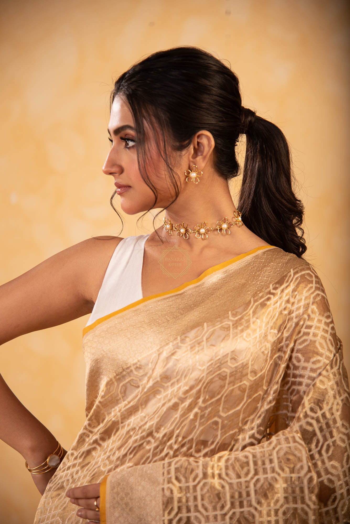 Tissue Weaved over Organza with Contemporary Resham Jaal
