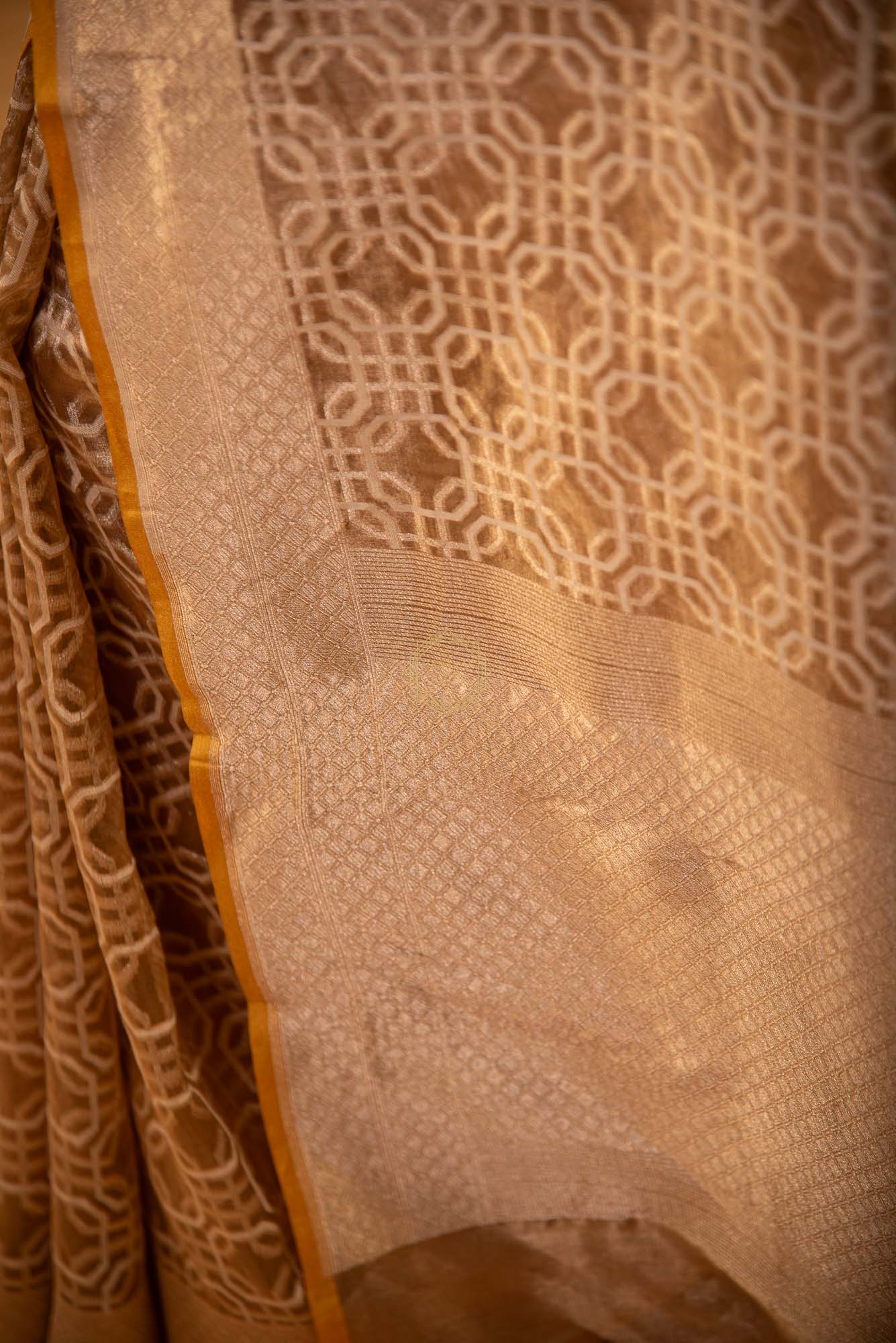Tissue Weaved over Organza with Contemporary Resham Jaal