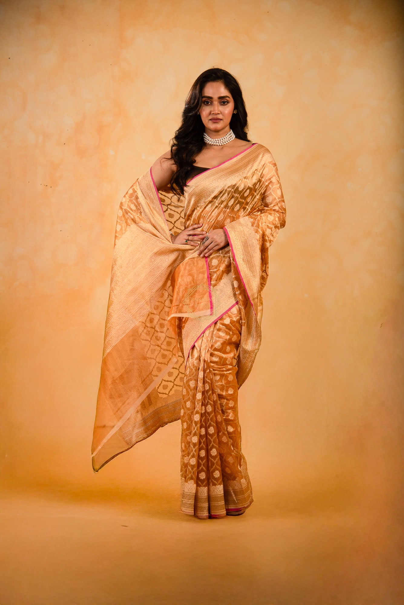 Tissue Weaved over Organza with Contemporary Resham Jaal