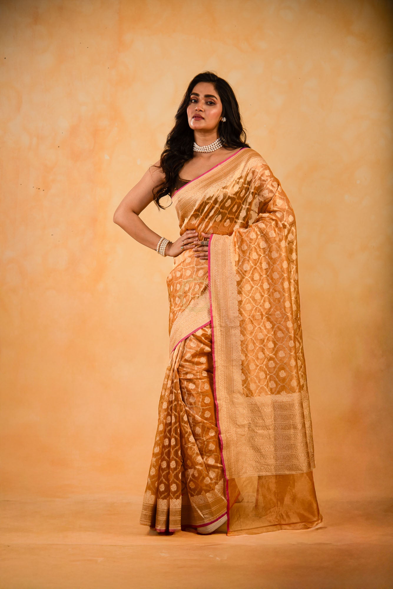 Tissue Weaved over Organza with Contemporary Resham Jaal