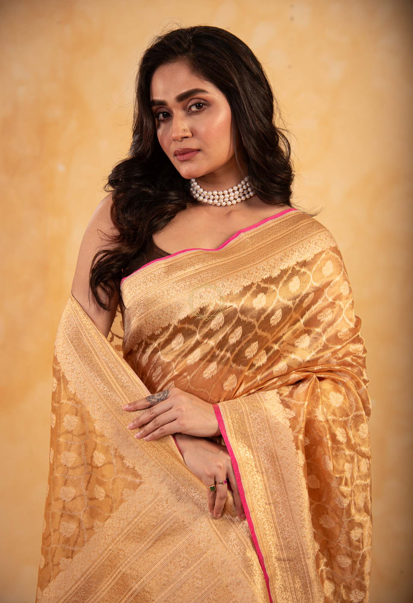 Tissue Weaved over Organza with Contemporary Resham Jaal