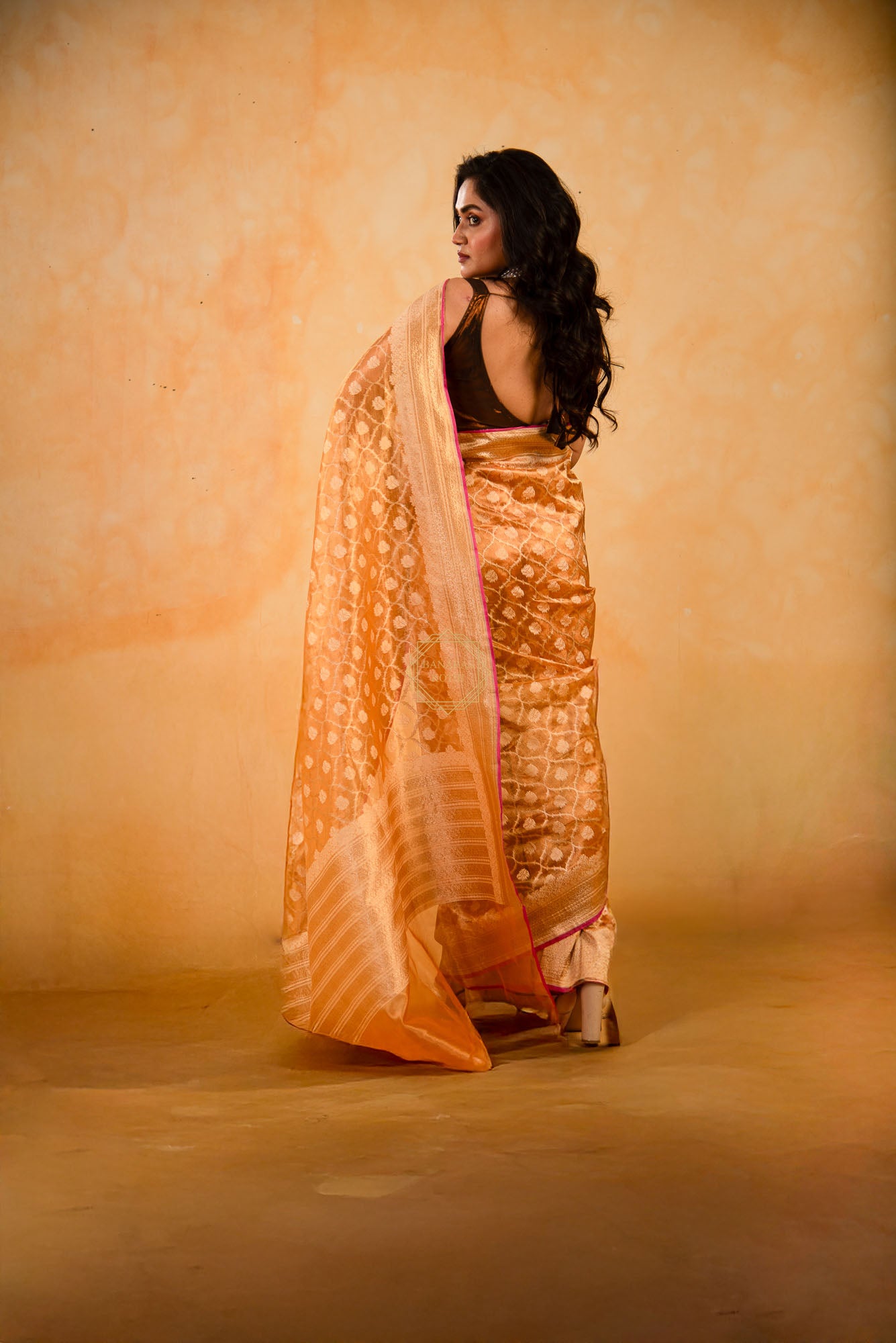 Tissue Weaved over Organza with Contemporary Resham Jaal