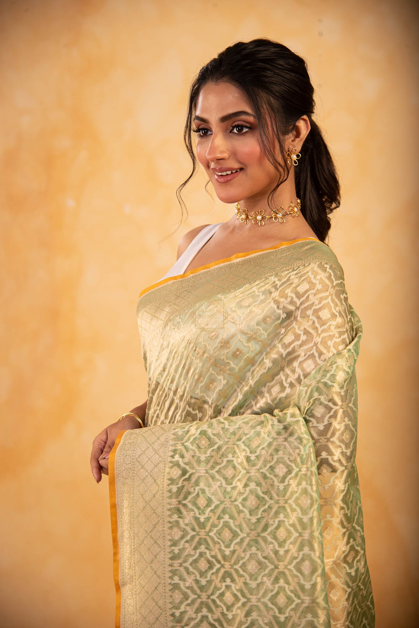 Tissue Weaved over Organza with Contemporary Resham Jaal