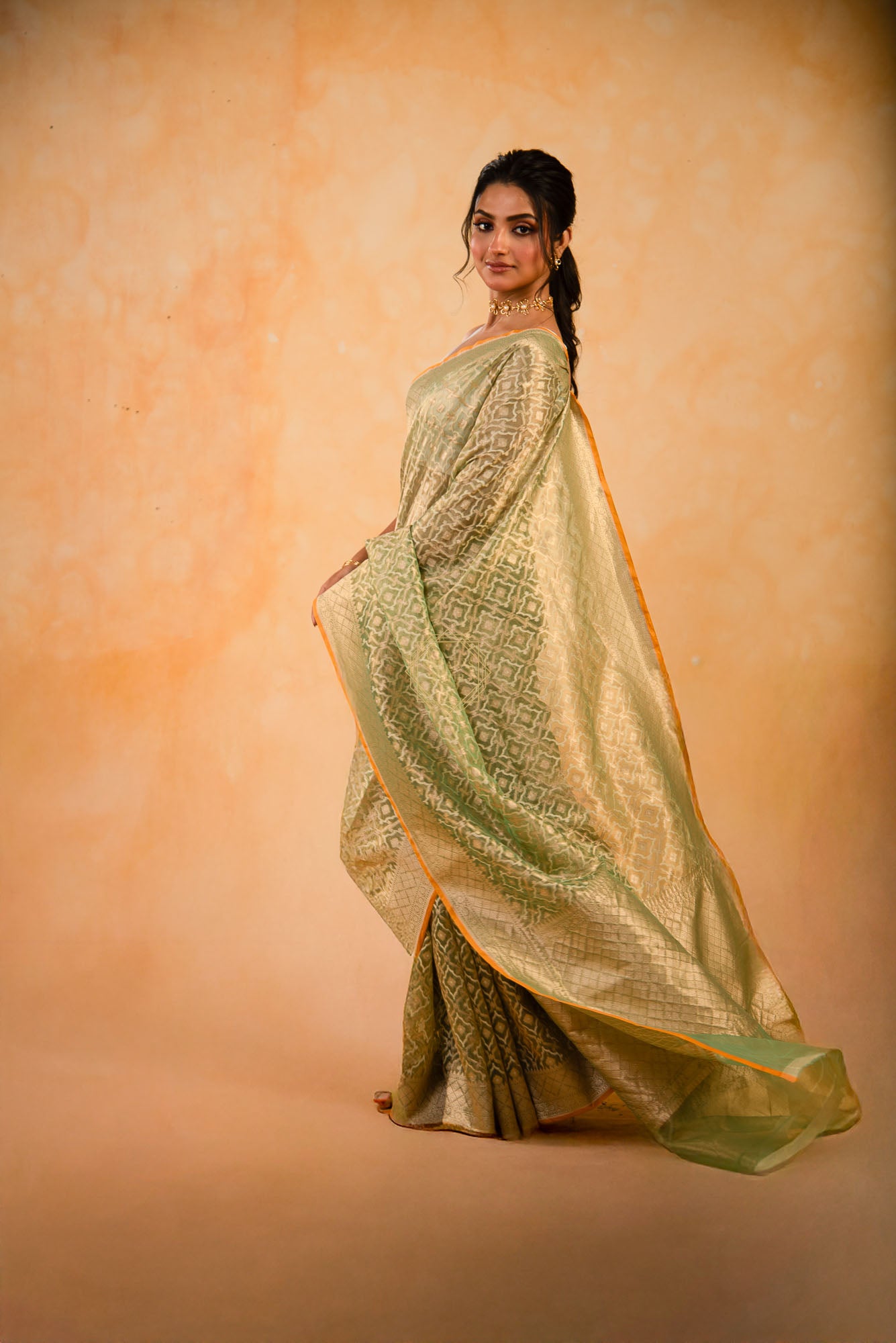 Tissue Weaved over Organza with Contemporary Resham Jaal
