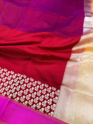 Ektara with Gold Zari and Weaving Border